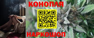 гидра Рязань