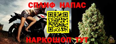 гидра Рязань