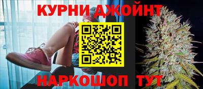гидра Рязань